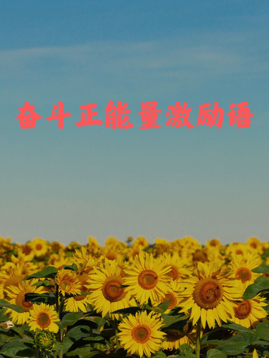 激励于奋斗！选手展现精彩表现