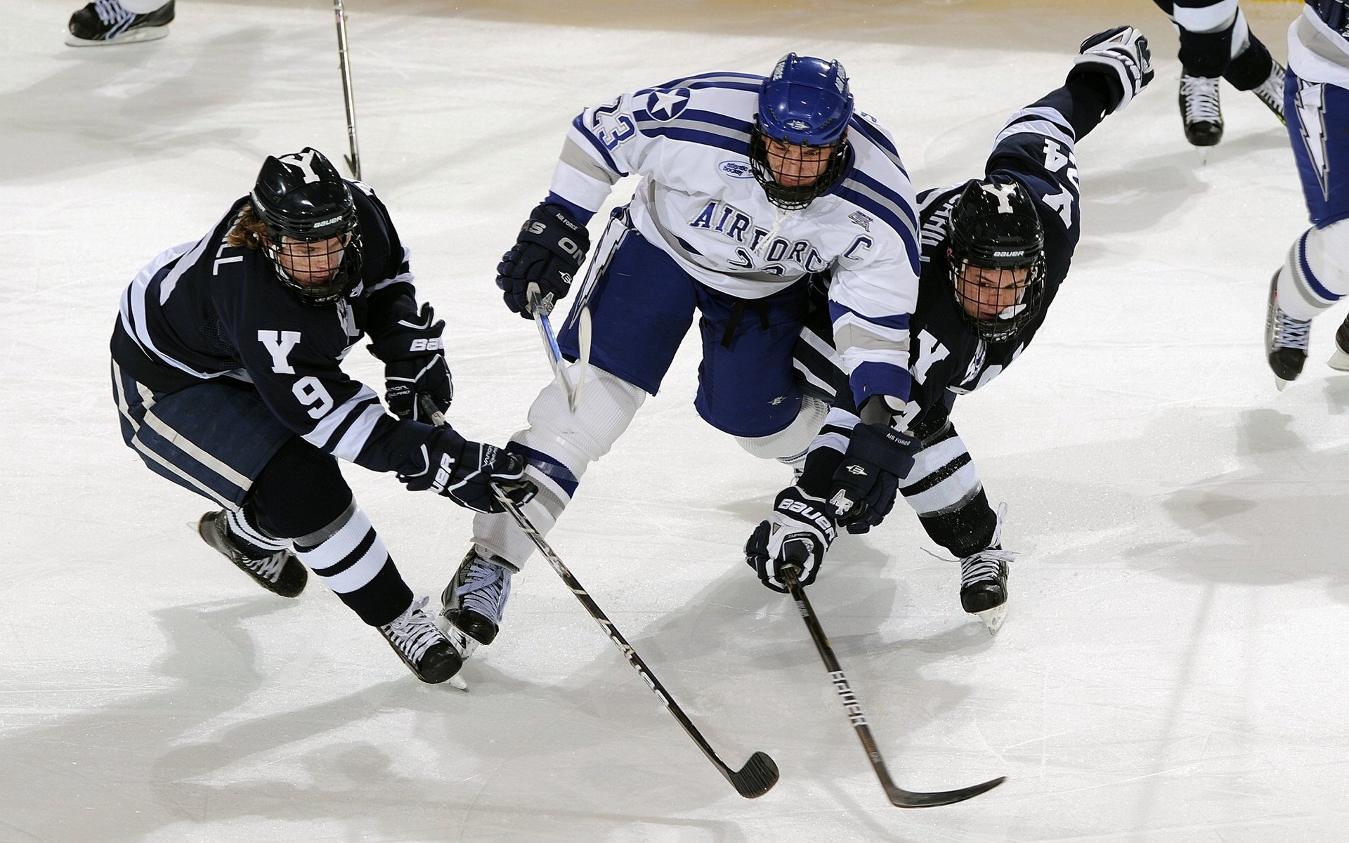 双重加冕,穆雷横扫美网与戴维斯杯的王者赛季